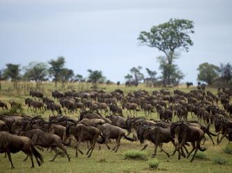 viajar en enero a Tanzania