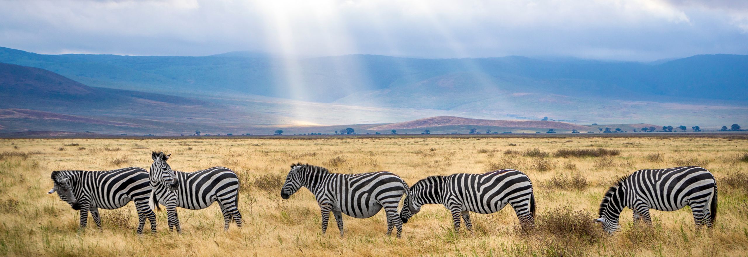 cuando es mejor visitar tanzania