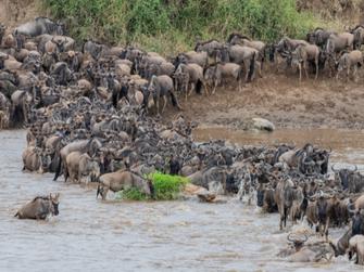 el mejor mes para visitar Tanzania