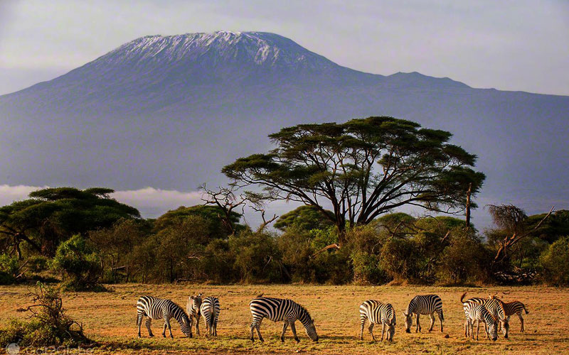 Kilimanjaro