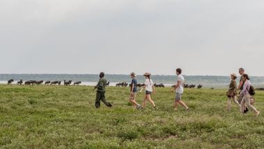 viajes a medida por Tanzania