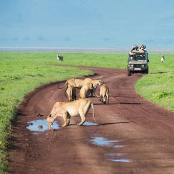 leones tanzania