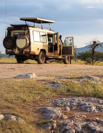 safari por Tanzania