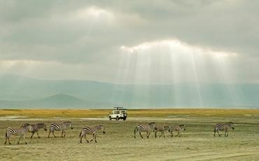 safari en coche privado