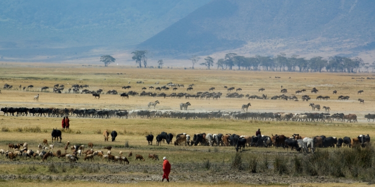 camino de ngorongoro a serengeti