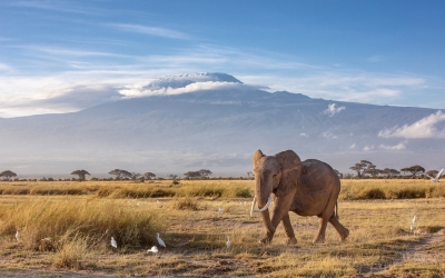 Trekkings y Safaris por Tanzania Trekkings y Safaris por Tanzania