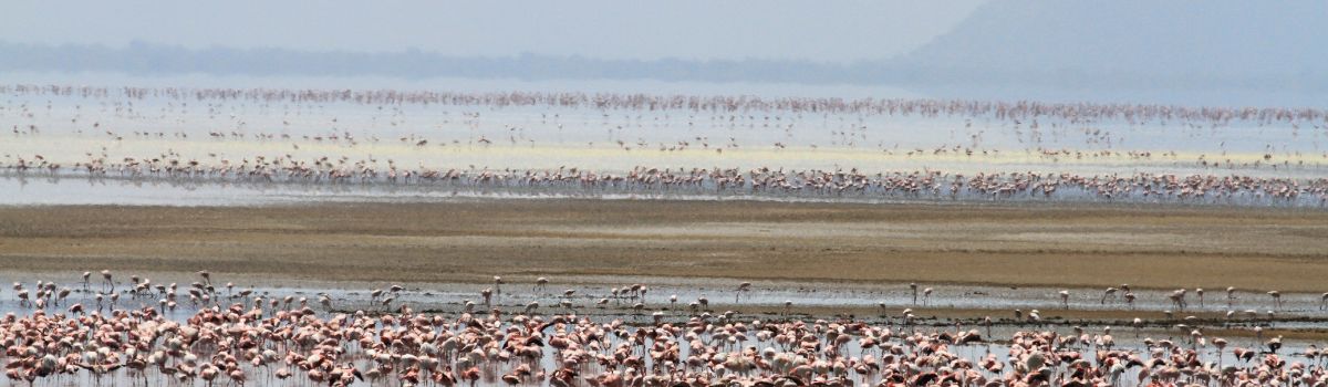 Tanzania