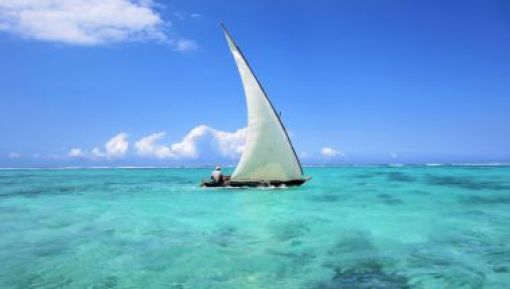 10 Consejos Clave para Preparar tu Viaje a Tanzania