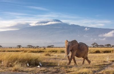 Viaje 9 dias Trekkings y Safaris por Tanzania