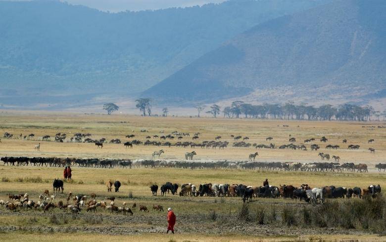 zona de pastura de los Masai