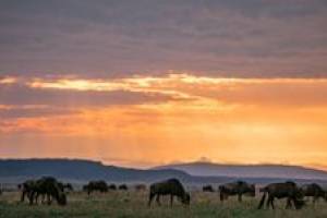 Parque Nacional Serengeti